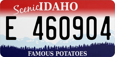 ID license plate E460904