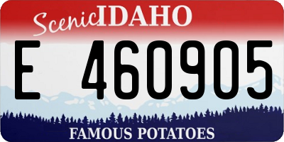 ID license plate E460905
