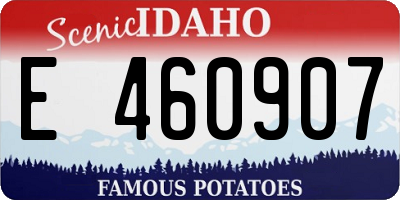 ID license plate E460907