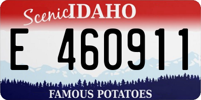 ID license plate E460911