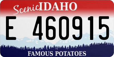 ID license plate E460915