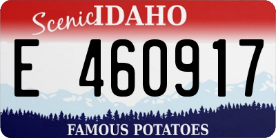 ID license plate E460917