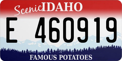 ID license plate E460919