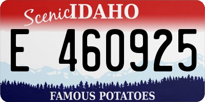 ID license plate E460925