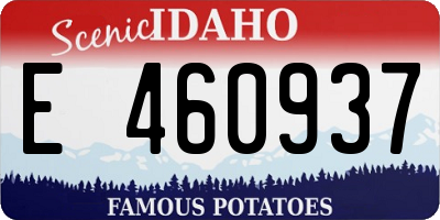 ID license plate E460937