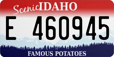 ID license plate E460945