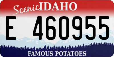 ID license plate E460955