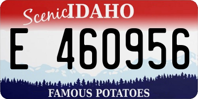 ID license plate E460956
