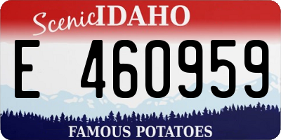 ID license plate E460959