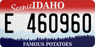 ID license plate E460960