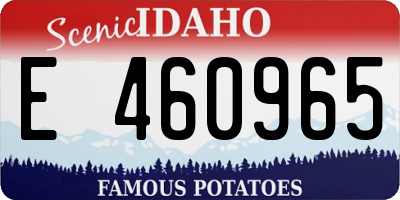 ID license plate E460965