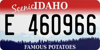 ID license plate E460966
