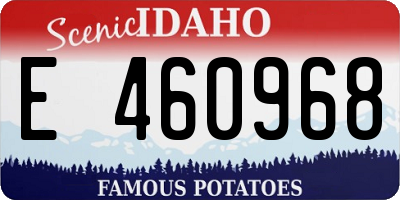 ID license plate E460968