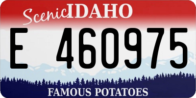ID license plate E460975