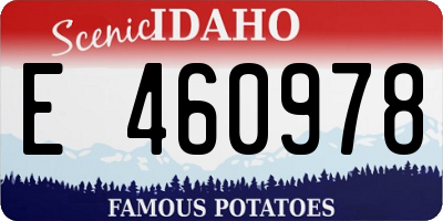ID license plate E460978