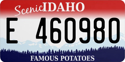 ID license plate E460980
