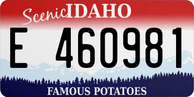 ID license plate E460981