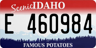 ID license plate E460984