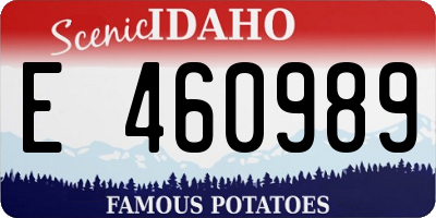 ID license plate E460989