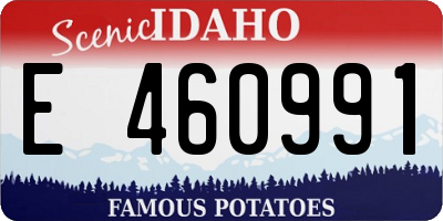 ID license plate E460991