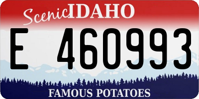 ID license plate E460993