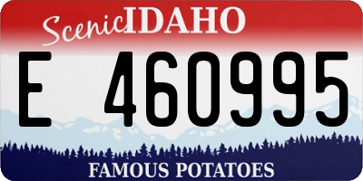 ID license plate E460995