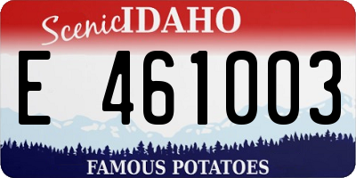 ID license plate E461003