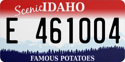 ID license plate E461004
