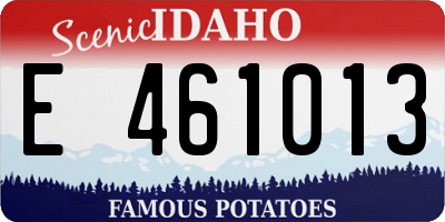 ID license plate E461013