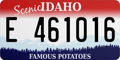 ID license plate E461016