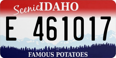 ID license plate E461017