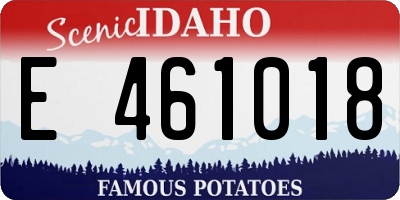 ID license plate E461018
