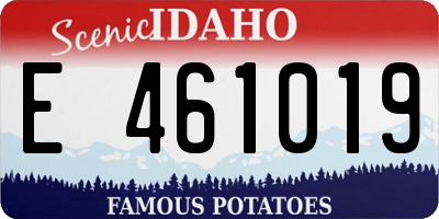 ID license plate E461019