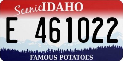 ID license plate E461022
