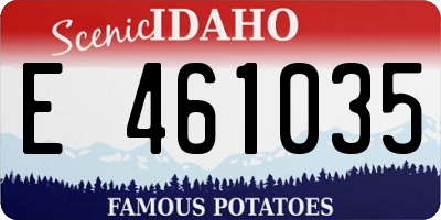 ID license plate E461035