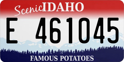 ID license plate E461045