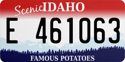 ID license plate E461063
