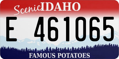 ID license plate E461065