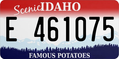 ID license plate E461075
