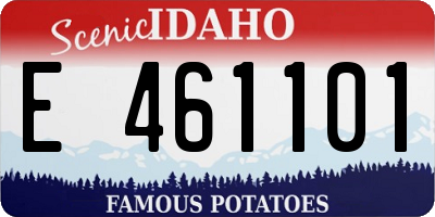 ID license plate E461101