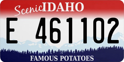 ID license plate E461102