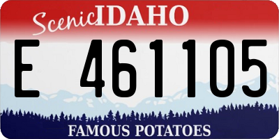 ID license plate E461105