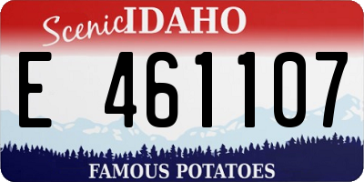 ID license plate E461107