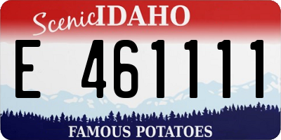 ID license plate E461111