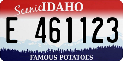 ID license plate E461123