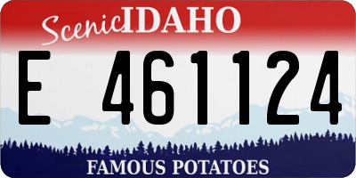 ID license plate E461124