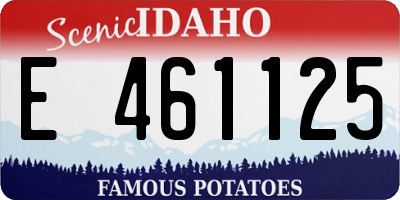 ID license plate E461125