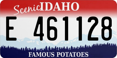 ID license plate E461128
