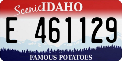 ID license plate E461129