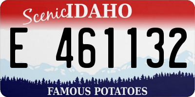 ID license plate E461132